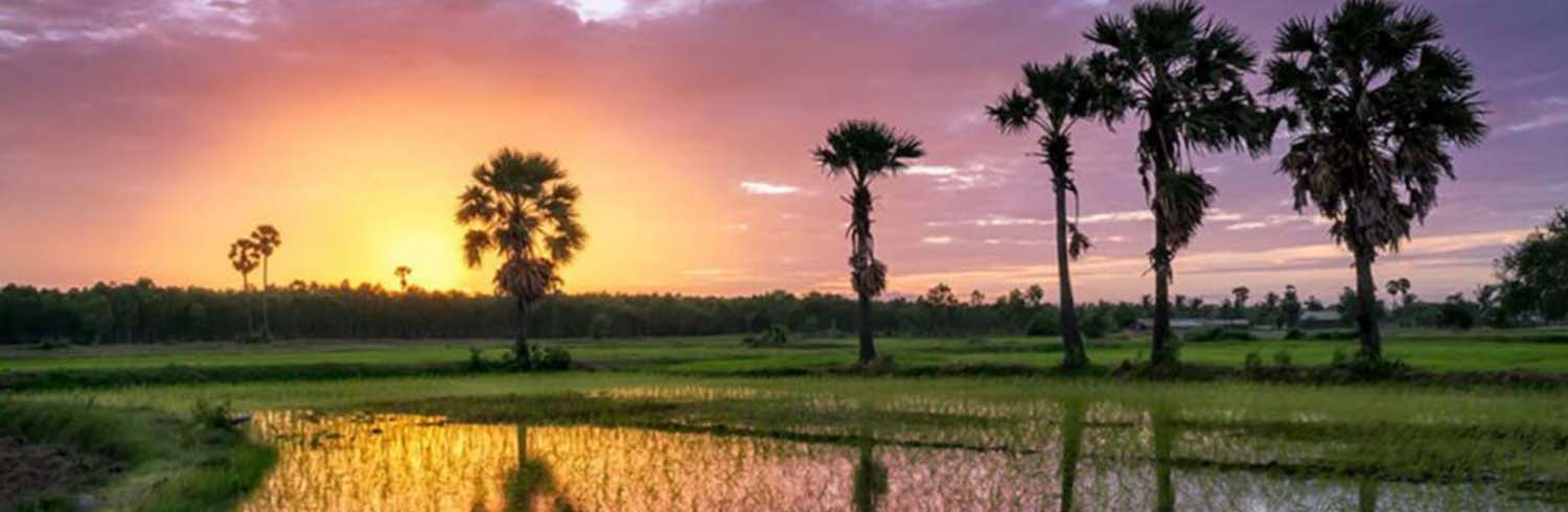 Ubiquest landscape Cambodia